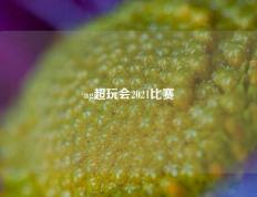ag超玩会2021比赛