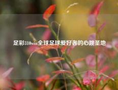足彩310win全球足球爱好者的心跳圣地