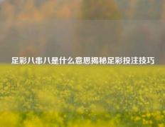 足彩八串八是什么意思揭秘足彩投注技巧