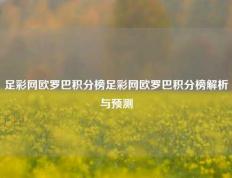 足彩网欧罗巴积分榜足彩网欧罗巴积分榜解析与预测