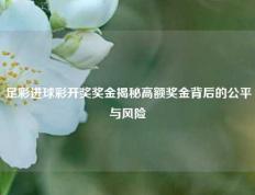 足彩进球彩开奖奖金揭秘高额奖金背后的公平与风险