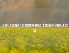 足彩开盘是什么意思揭秘足球比赛前的投注信号