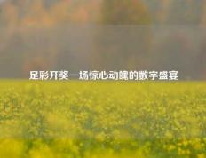 足彩开奖一场惊心动魄的数字盛宴