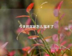 今天的足彩怎么买不了