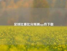 足球比赛比分预测app件下载
