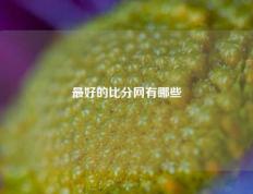 最好的比分网有哪些