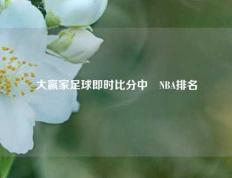 大赢家足球即时比分中乛NBA排名