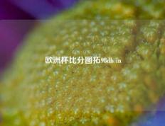欧洲杯比分图拓98db in
