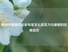 懂球帝里面的足彩专家怎么样实力与策略的完美结合
