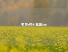 亚冠8强对阵图2020