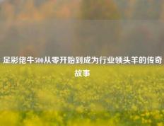 足彩佬牛500从零开始到成为行业领头羊的传奇故事
