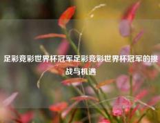足彩竞彩世界杯冠军足彩竞彩世界杯冠军的挑战与机遇
