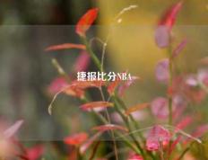 捷报比分NBA