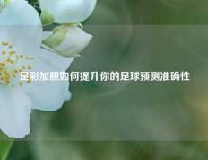 足彩加胆如何提升你的足球预测准确性