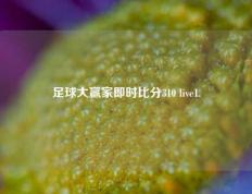 足球大赢家即时比分310 live1.