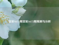 足彩16175期足彩16175期预测与分析
