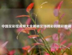 中国足彩馆视频大全揭秘足球博彩的精彩瞬间