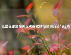 张路在哪里预测足彩揭秘精准预测方法与技巧