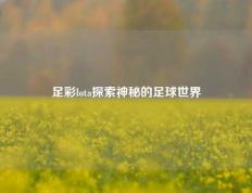足彩lota探索神秘的足球世界