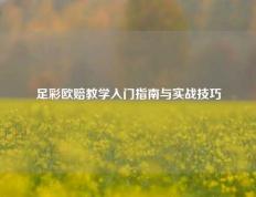 足彩欧赔教学入门指南与实战技巧