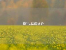 荷兰vs法国比分