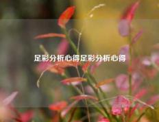 足彩分析心得足彩分析心得