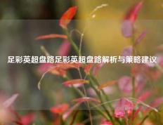 足彩英超盘路足彩英超盘路解析与策略建议