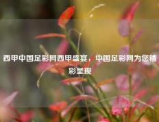 西甲中国足彩网西甲盛宴，中国足彩网为您精彩呈现