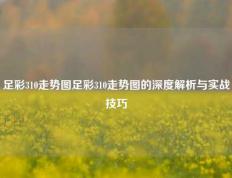足彩310走势图足彩310走势图的深度解析与实战技巧