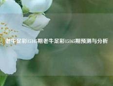 老牛足彩15165期老牛足彩15165期预测与分析