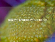 球琛比分足球即时比分 192.168.1.229