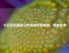 今日足彩最新分析预测把握胜算，稳操胜券