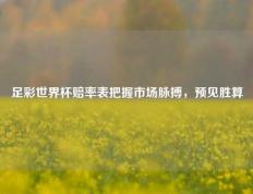 足彩世界杯赔率表把握市场脉搏，预见胜算
