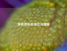 体育竞彩足球比分澳客