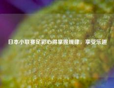日本小联赛足彩心得掌握规律，享受乐趣