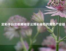 足彩平台出租揭秘非法博彩背后的黑色产业链