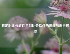 看足彩比分软件足彩比分软件的崛起与未来展望