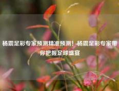 杨震足彩专家预测精准预测！杨震足彩专家带你把握足球盛宴