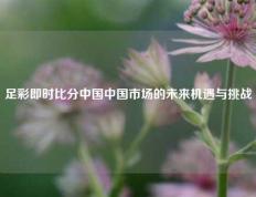 足彩即时比分中国中国市场的未来机遇与挑战