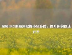 足彩18028期预测把握市场脉搏，提升你的投注胜率