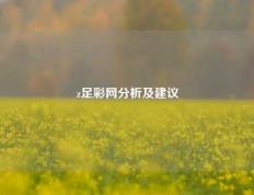 z足彩网分析及建议