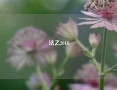 法乙2018