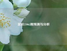 足彩21065期预测与分析