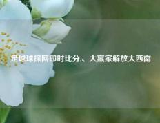 足球球探网即时比分,、大赢家解放大西南