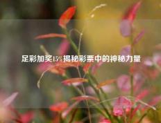 足彩加奖15%揭秘彩票中的神秘力量