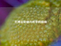 平博足彩提升胜率的指南