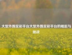 大型外围足彩平台大型外围足彩平台的崛起与挑战