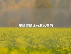 英雄联盟比分怎么看的
