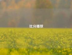 比分播放