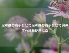 足彩推荐高手公众号足彩推荐高手公众号的深度分析与使用指南